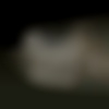 Digitalagentur
