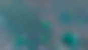 Webentwicklung Zürich und digitale Lösungen