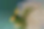 Webentwicklung Zürich und digitale Lösungen